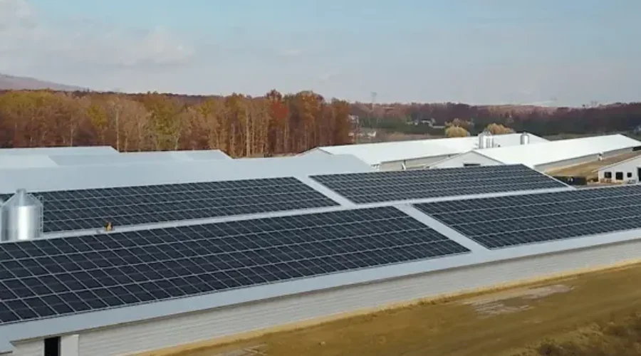 Solar Holler Installs Largest Solar System in West Virginia at Oak Tree Farm