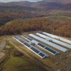 oak tree farm, REAP, rural solar