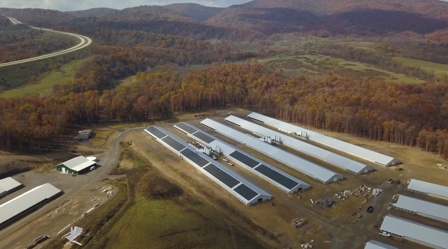 oak tree farm, REAP, rural solar